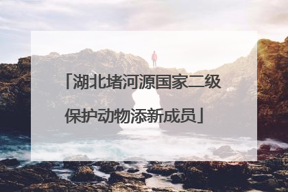 湖北堵河源国家二级保护动物添新成员