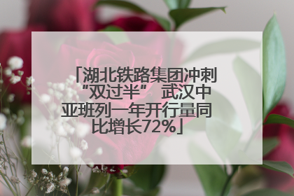 湖北铁路集团冲刺“双过半” 武汉中亚班列一年开行量同比增长72%