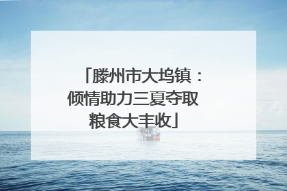 滕州市大坞镇：倾情助力三夏夺取粮食大丰收