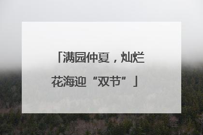 满园仲夏，灿烂花海迎“双节”