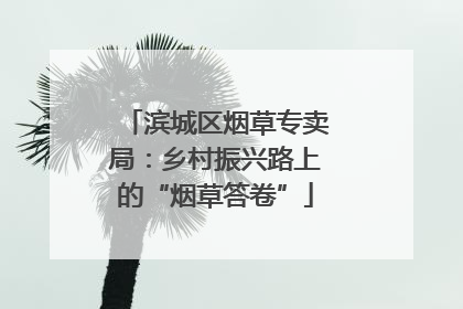 滨城区烟草专卖局：乡村振兴路上的“烟草答卷”