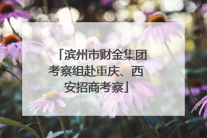 滨州市财金集团考察组赴重庆、西安招商考察