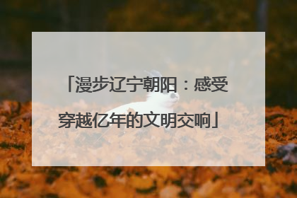 漫步辽宁朝阳：感受穿越亿年的文明交响