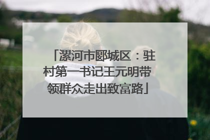 漯河市郾城区：驻村第一书记王元明带领群众走出致富路