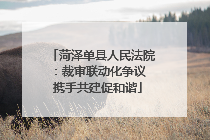 菏泽单县人民法院：裁审联动化争议 携手共建促和谐