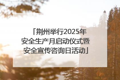 荆州举行2025年安全生产月启动仪式暨安全宣传咨询日活动