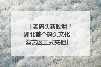 老码头新腔调！湖北首个码头文化演艺区正式亮相