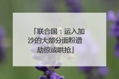 联合国：运入加沙的大部分面粉遭劫掠或哄抢