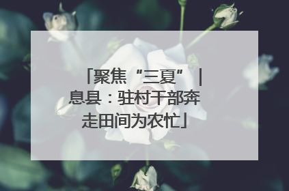 聚焦“三夏”｜息县：驻村干部奔走田间为农忙