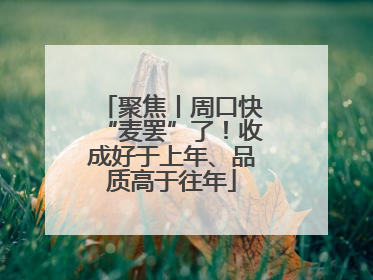 聚焦丨周口快“麦罢”了！收成好于上年、品质高于往年