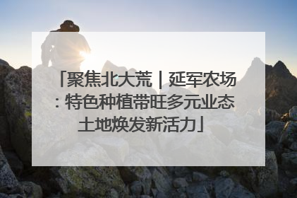 聚焦北大荒｜延军农场：特色种植带旺多元业态 土地焕发新活力