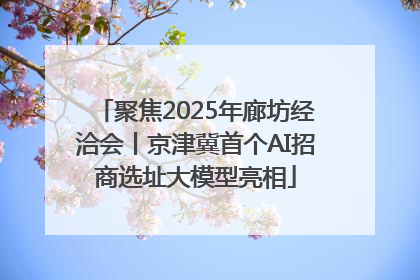 聚焦2025年廊坊经洽会丨京津冀首个AI招商选址大模型亮相
