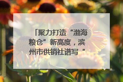 聚力打造“渤海粮仓”新高度，滨州市供销社谱写“三夏”丰收乐章