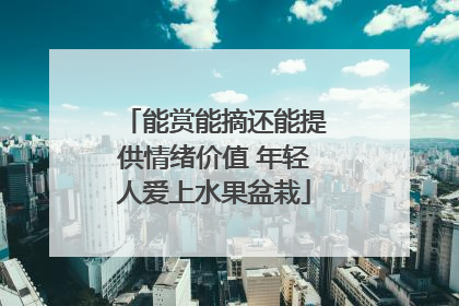 能赏能摘还能提供情绪价值 年轻人爱上水果盆栽