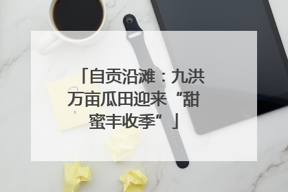 自贡沿滩：九洪万亩瓜田迎来“甜蜜丰收季”