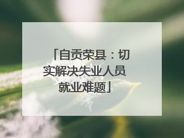 自贡荣县：切实解决失业人员就业难题