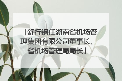 舒行钢任湖南省机场管理集团有限公司董事长、省机场管理局局长