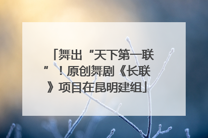 舞出“天下第一联”！原创舞剧《长联》项目在昆明建组