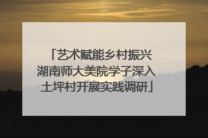 艺术赋能乡村振兴 湖南师大美院学子深入土坪村开展实践调研