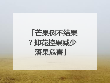 芒果树不结果？抑花控果减少落果危害