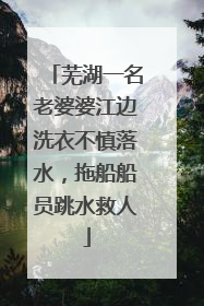 芜湖一名老婆婆江边洗衣不慎落水，拖船船员跳水救人