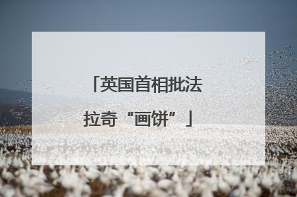 英国首相批法拉奇“画饼”