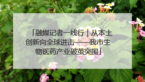 融媒记者一线行｜从本土创新向全球进击——我市生物医药产业破茧突围