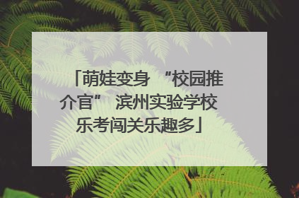 萌娃变身 “校园推介官” 滨州实验学校乐考闯关乐趣多