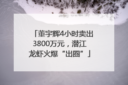 董宇辉4小时卖出3800万元，潜江龙虾火爆“出圈”