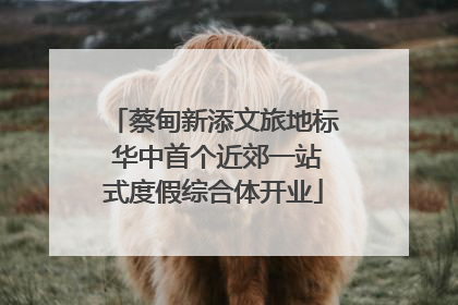 蔡甸新添文旅地标 华中首个近郊一站式度假综合体开业