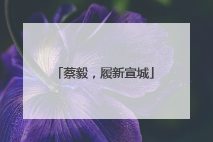 蔡毅，履新宣城
