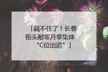 藏不住了！长春街头耐寒月季集体“C位出道”