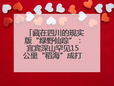 藏在四川的现实版“绿野仙踪”：宜宾深山罕见15公里“稻海”成打卡新地标