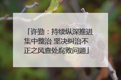 许勤：持续纵深推进集中整治 坚决纠治不正之风查处腐败问题