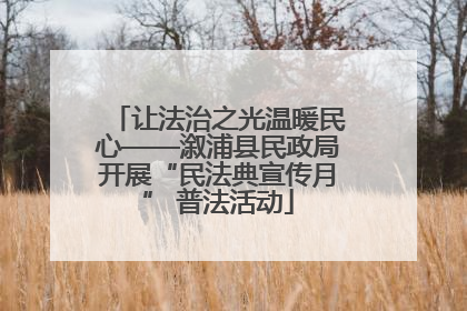 让法治之光温暖民心——溆浦县民政局开展“民法典宣传月” 普法活动