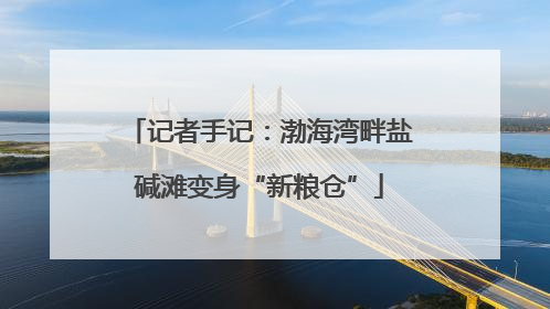 记者手记：渤海湾畔盐碱滩变身“新粮仓”