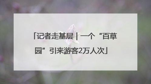 记者走基层｜一个“百草园”引来游客2万人次