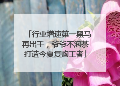 行业增速第一黑马再出手，爷爷不泡茶打造今夏复购王者
