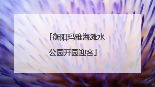 衡阳玛雅海滩水公园开园迎客