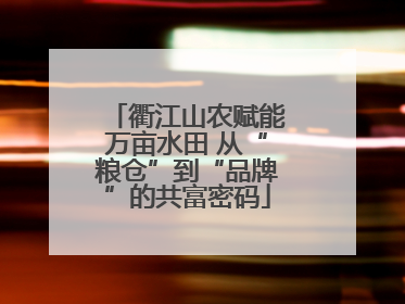 衢江山农赋能万亩水田 从“粮仓”到“品牌”的共富密码
