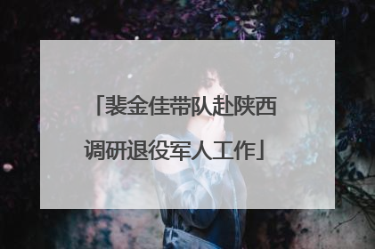 裴金佳带队赴陕西调研退役军人工作