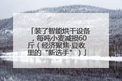 装了智能烘干设备，每吨小麦减损60斤（经济聚焦·夏收里的“新选手”）