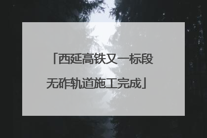 西延高铁又一标段无砟轨道施工完成