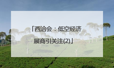 西洽会：低空经济展商引关注(2)