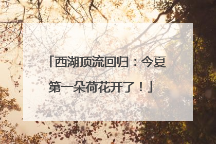 西湖顶流回归：今夏第一朵荷花开了！
