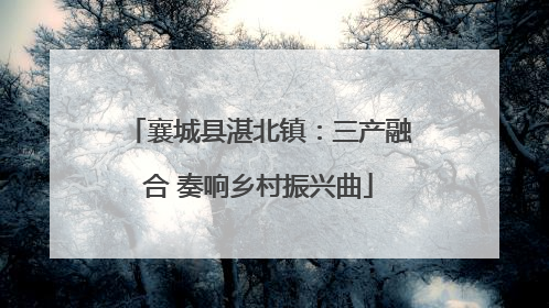 襄城县湛北镇：三产融合 奏响乡村振兴曲