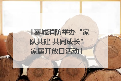 襄城消防举办“家队共建 共同成长”家属开放日活动