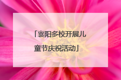 襄阳多校开展儿童节庆祝活动