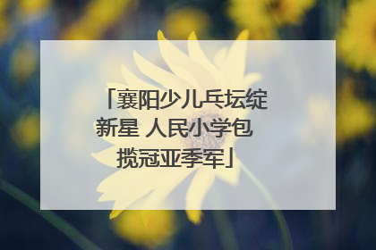 襄阳少儿乓坛绽新星 人民小学包揽冠亚季军
