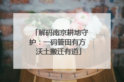 解码南京耕地守护：一码管田有方 沃土搬迁有道